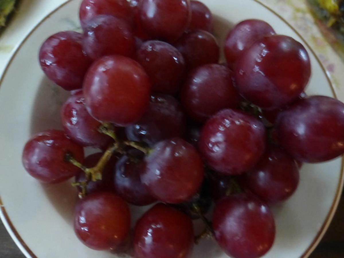 Mulberry Lavender Farm And B&B Ngoại thất bức ảnh